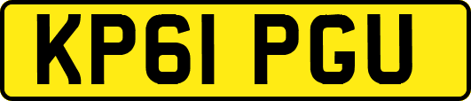 KP61PGU