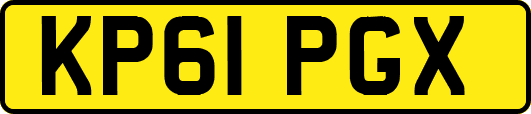 KP61PGX