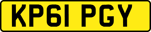 KP61PGY