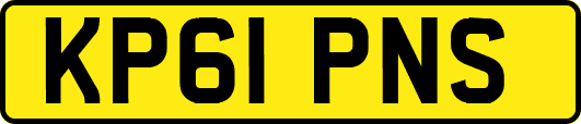 KP61PNS