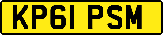 KP61PSM