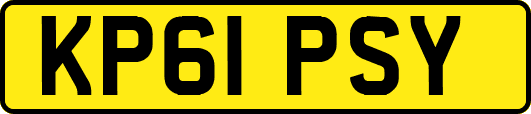 KP61PSY