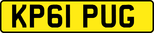 KP61PUG