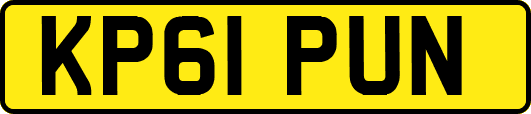 KP61PUN