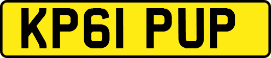 KP61PUP
