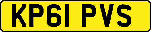 KP61PVS