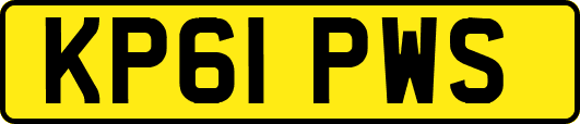 KP61PWS