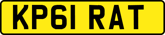 KP61RAT