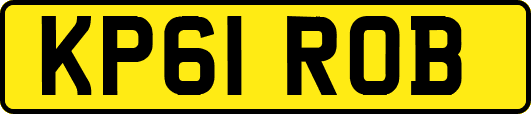 KP61ROB