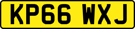 KP66WXJ