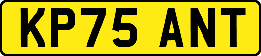 KP75ANT