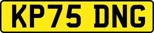 KP75DNG