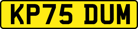 KP75DUM