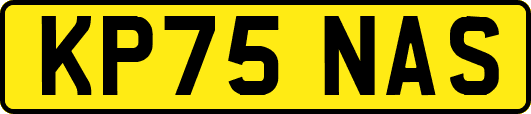 KP75NAS