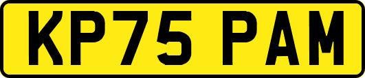 KP75PAM