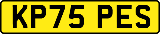 KP75PES