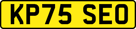 KP75SEO