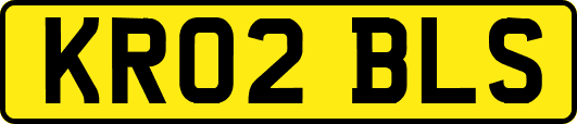 KR02BLS