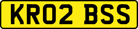 KR02BSS