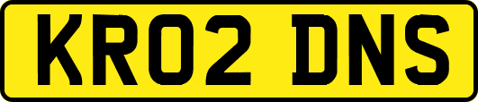KR02DNS