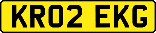 KR02EKG