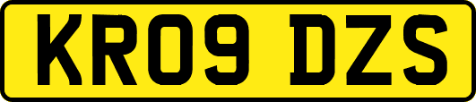 KR09DZS