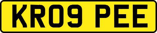 KR09PEE