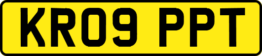 KR09PPT