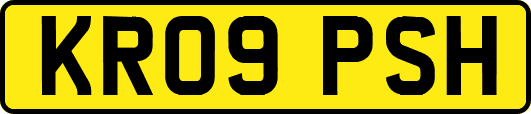 KR09PSH