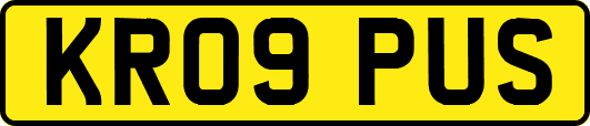 KR09PUS
