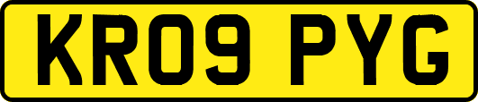 KR09PYG