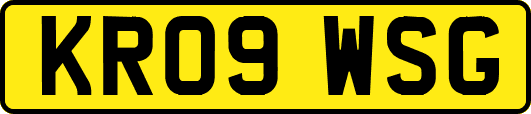 KR09WSG