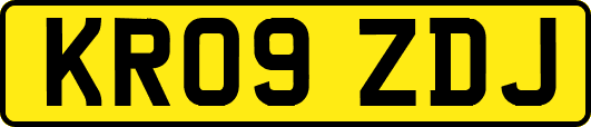 KR09ZDJ