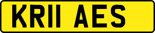 KR11AES