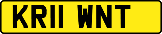 KR11WNT