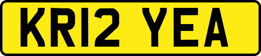 KR12YEA