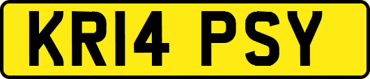 KR14PSY