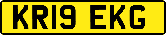 KR19EKG