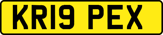 KR19PEX