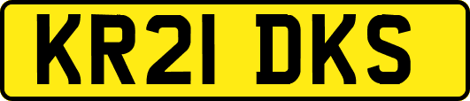 KR21DKS