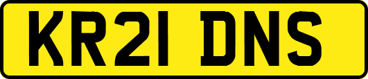 KR21DNS