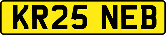 KR25NEB