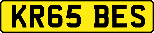 KR65BES