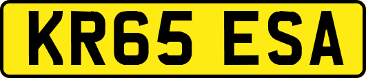 KR65ESA