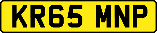 KR65MNP