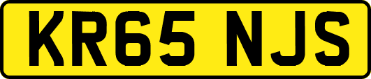 KR65NJS