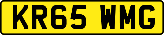 KR65WMG