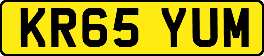 KR65YUM