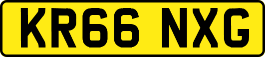 KR66NXG