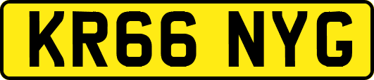KR66NYG